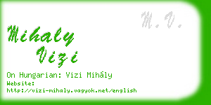 mihaly vizi business card
